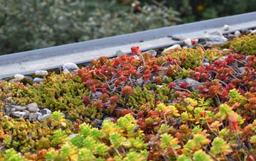the cost of The Borough green roof installation