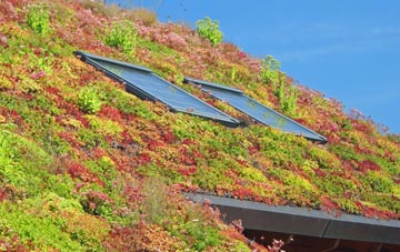 The Borough living roof systems